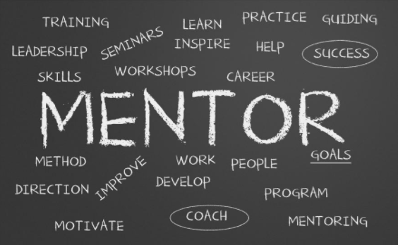 The Role of a Mentor in Education